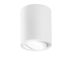 Faretti Da Soffitto-Selezionato da Mazzolaluce Faretto cilindro da soffitto bianco orientabile