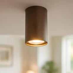 Faretti Da Soffitto-Selezionato da Mazzolaluce Faretto cilindro da soffitto marrone