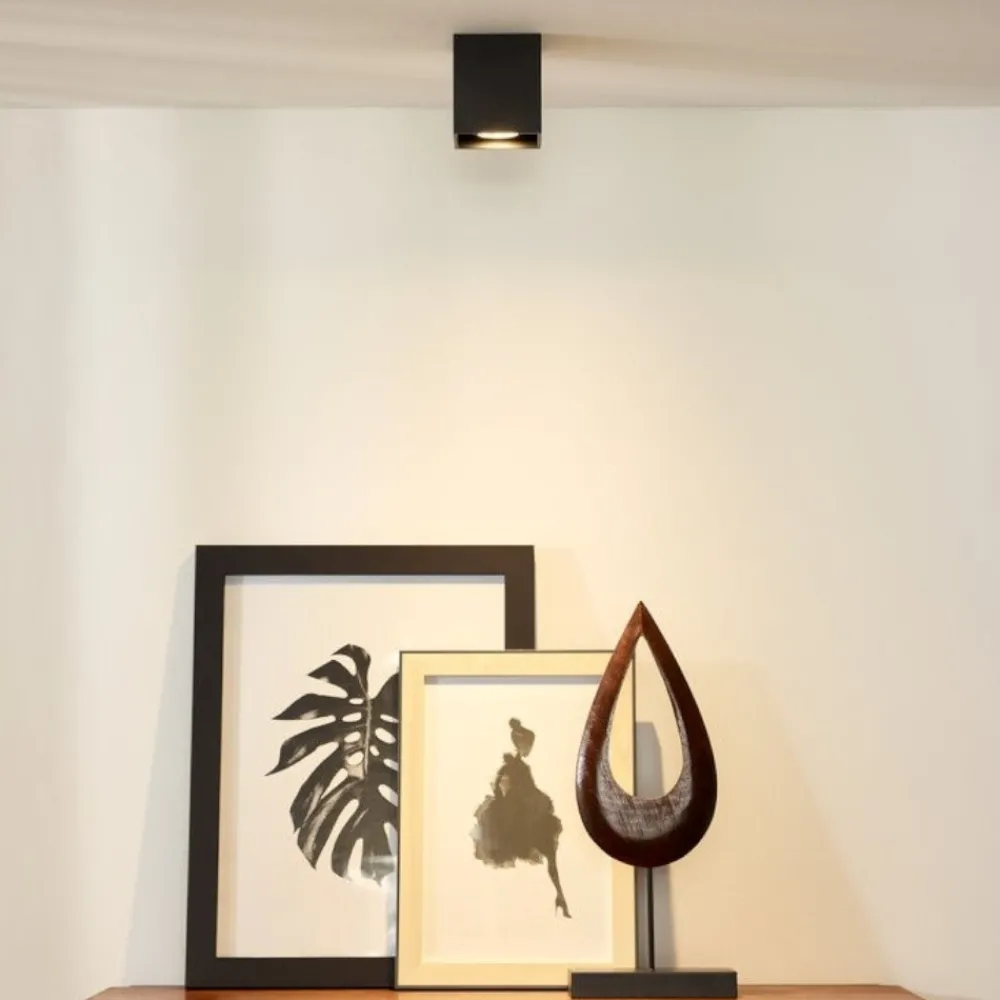 Faretti Da Soffitto-Selezionato da Mazzolaluce Faretto cubo da soffitto nero quadrato