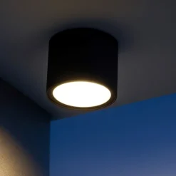 Faretti Da Esterno-Selezionato da Mazzolaluce Faretto da esterno a soffitto cilindro nero ip54