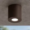 Faretti Da Esterno-Gea Luce Faretto da esterno per soffitto cilindro marrone