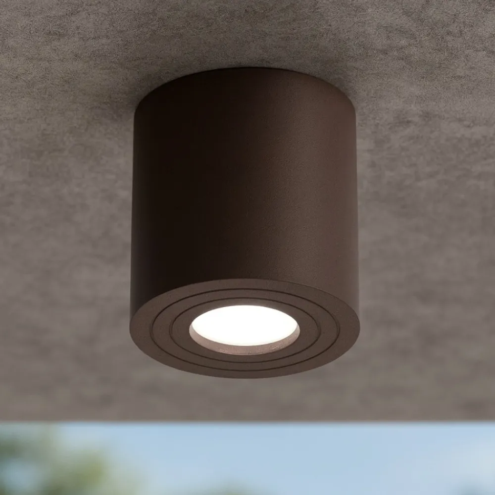 Faretti Da Esterno-Gea Luce Faretto da esterno per soffitto cilindro marrone
