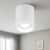 Faretti Da Soffitto-Selezionato da Mazzolaluce Faretto da soffitto cilindro bianco di alluminio