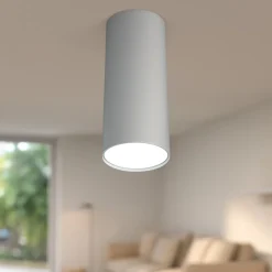 Faretti Da Soffitto-Top Light Faretto da soffitto cilindro grigio per cucina