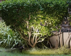 Faretti Da Esterno-Selezionato da Mazzolaluce Faretto nero con picchetto da terra per giardino orientabile