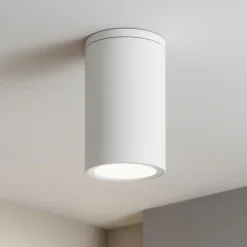 Faretti Da Esterno-Selezionato da Mazzolaluce Faretto per esterno bianco cilindro da soffitto