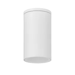 Faretti Da Esterno-Selezionato da Mazzolaluce Faretto per esterno bianco cilindro da soffitto