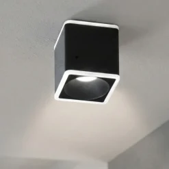 Faretti Da Soffitto-Fabas Luce Faretto sporgente nero led 13w 3000k da soffitto coiba
