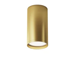 Faretti Da Soffitto-Maytoni Focus faretto da soffitto cilindro oro satinato