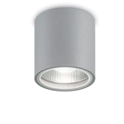 Faretti Da Esterno-Ideal Lux Gun pl1 faretto da esterno soffitto terrazza cilindro grigio ip44