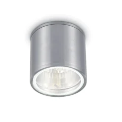 Faretti Da Esterno-Ideal Lux Gun pl1 faretto per esterno cilindro grigio