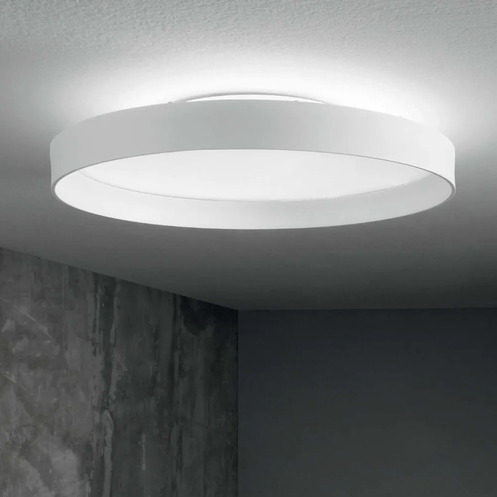 Plafoniere Moderne-Ideal Lux fly pl d35 plafoniera da cucina 4000k bianca tonda