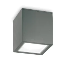 Faretti Da Esterno-Ideal Lux techo pl1 big plafoniera da esterno a soffitto cubo antracite