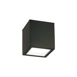 Faretti Da Esterno-Ideal Lux techo pl1 small faretto nero per soffitto da esterno ip54