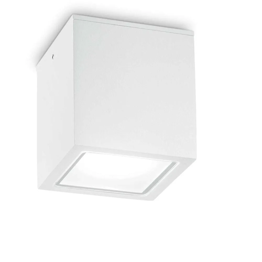 Faretti Da Esterno-Ideal Lux techo pl1 small faretto a soffitto per esterno cubo bianco