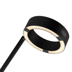 Lampade Da Terra-Selezionato da Mazzolaluce Lampada da terra moderna led 3000k tondo orientabile
