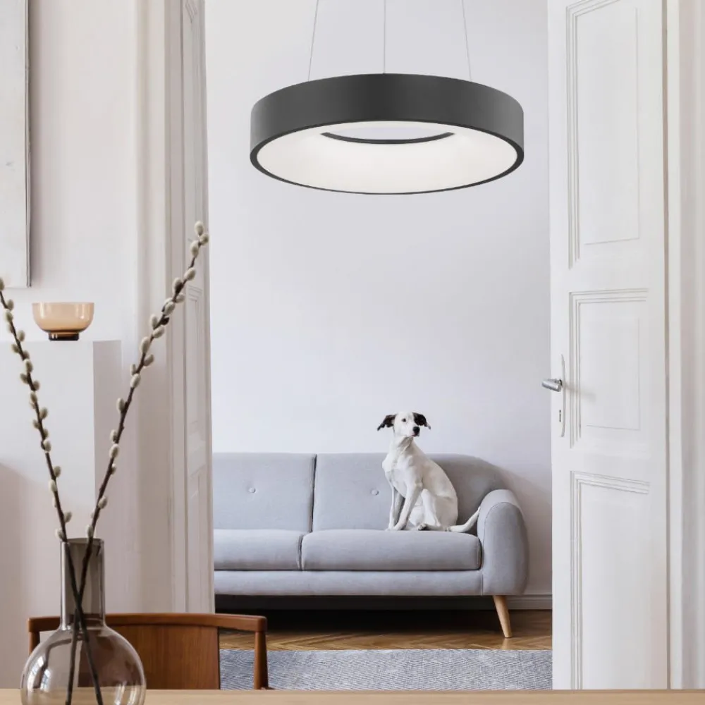 Lampadari Moderni-Selezionato da Mazzolaluce Lampadario anello 38 cm nero dimmerabile 3000k led 30w