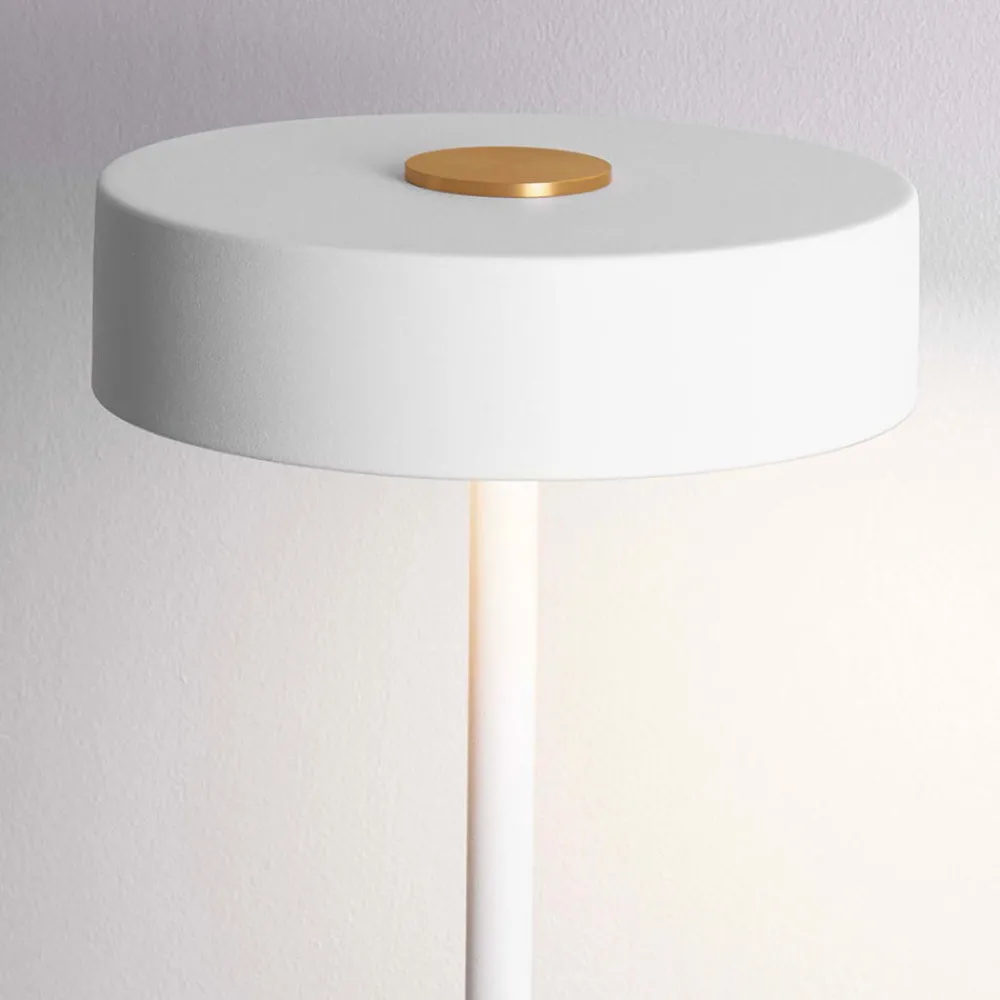 Lampade Da Terra-Selezionato da Mazzolaluce Piantana da terra led 3000k bianca moderna per salotto
