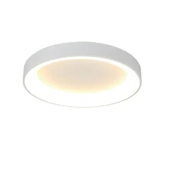 Plafoniere Moderne-Selezionato da Mazzolaluce Plafoniera anello bianca 38cm led 30w 2700k-5000k con telecomando app