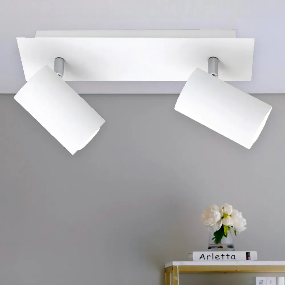 Plafoniere Moderne-Selezionato da Mazzolaluce Plafoniera con 2 faretti per salotto moderno