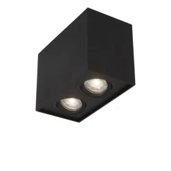 Plafoniere Moderne-Selezionato da Mazzolaluce Plafoniera da soffitto per cucina 2 luci orientabili