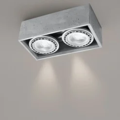 Plafoniere Moderne-Selezionato da Mazzolaluce Plafoniera per cucina con 2 luci portafaretti