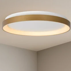 Plafoniere Moderne-Selezionato da Mazzolaluce Plafoniera rotonda per soggiorno led 38w 2700k dimmerabile moderna