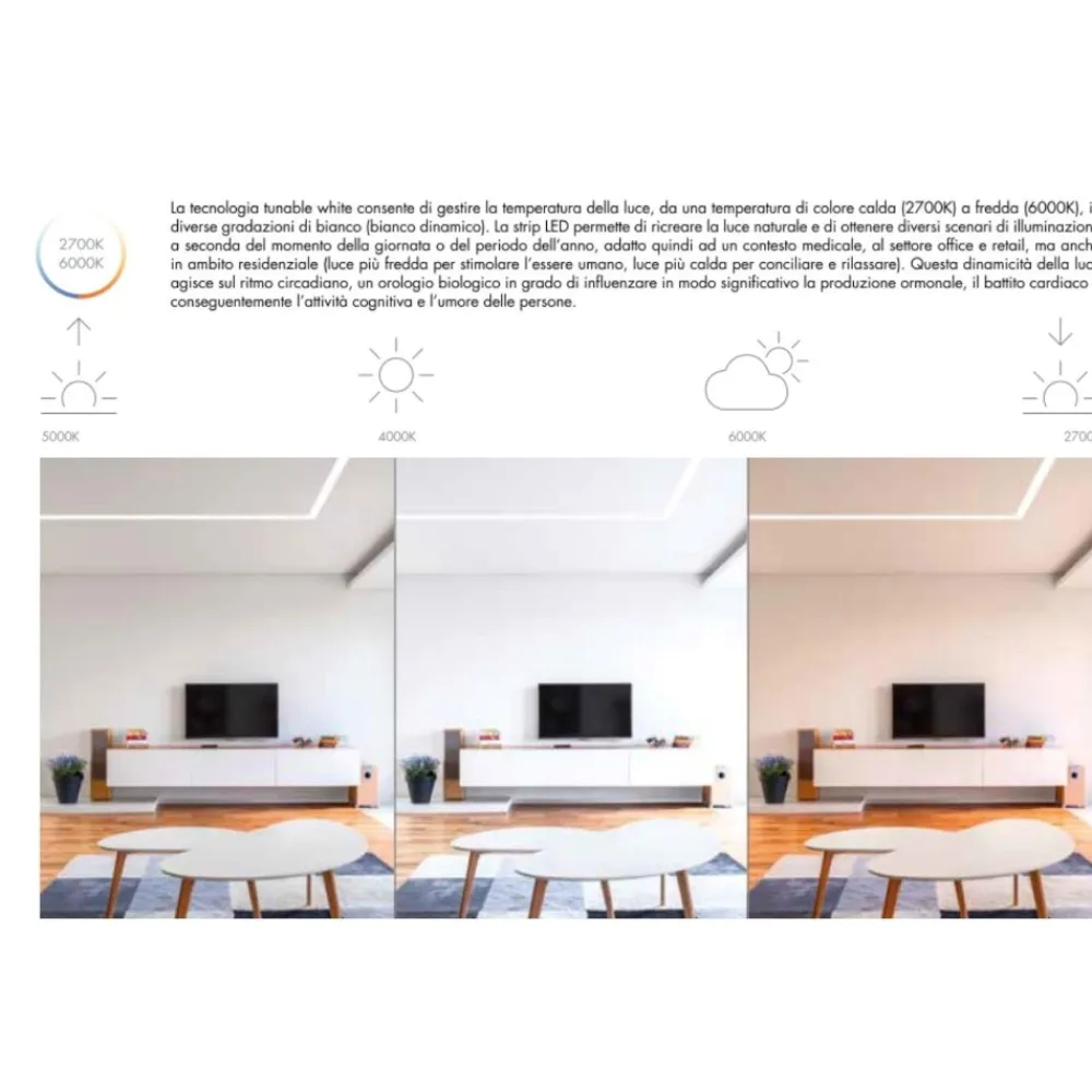 Strisce Led-Selezionato da Mazzolaluce Striscia led 24vdc bobina 5mt 17,3w-mt da 2700k a 6000k cri90