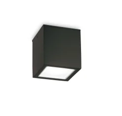 Faretti Da Esterno-Ideal Lux Techo pl1 big faretto da esterno ip54 cubo nero